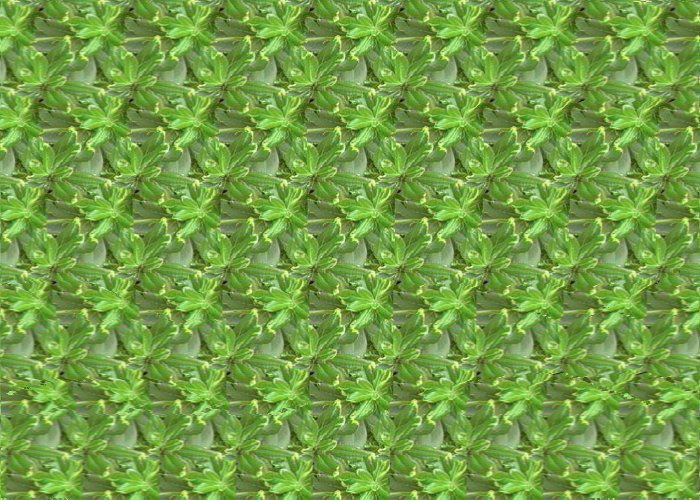 Magic eye