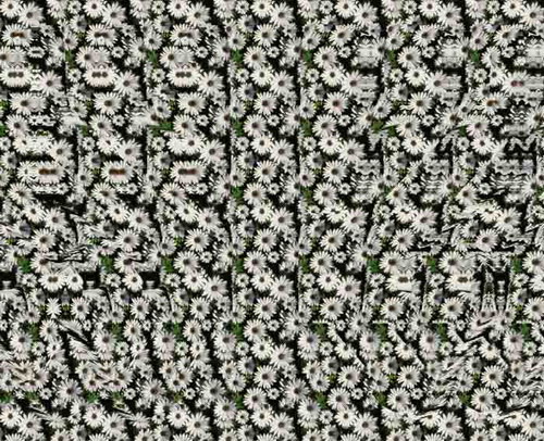 Magic eye