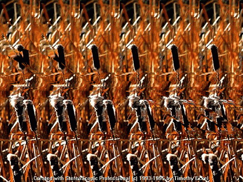 Magic eye
