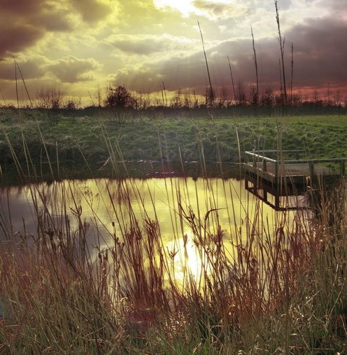  Steve Highfield