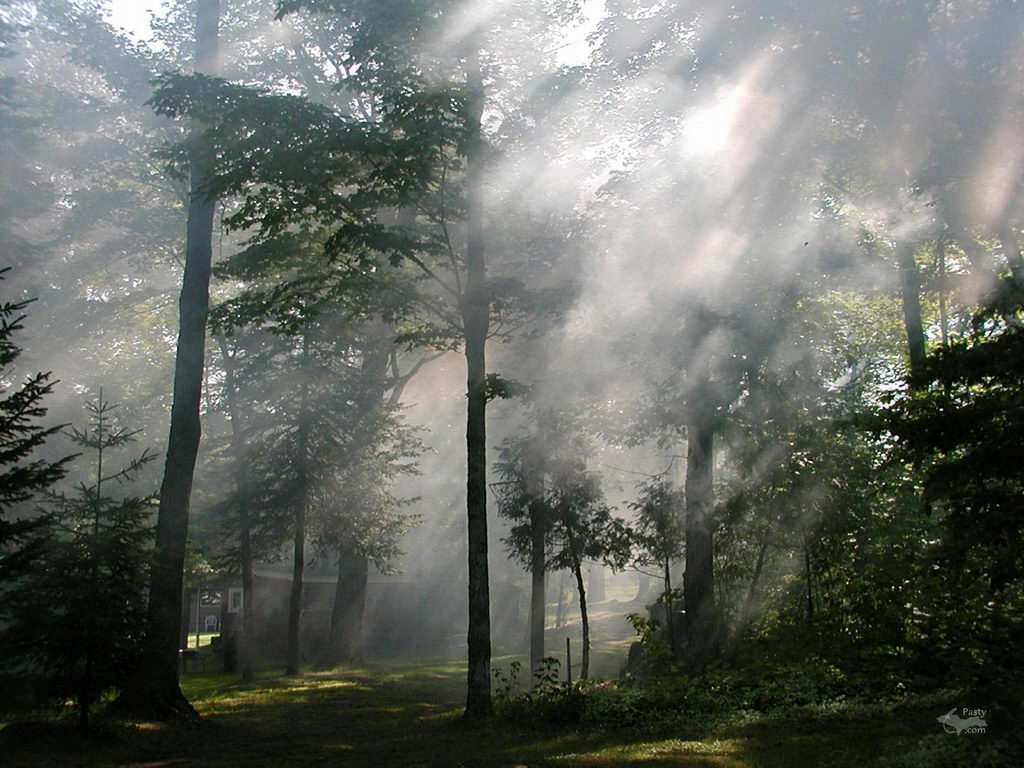  - 2006