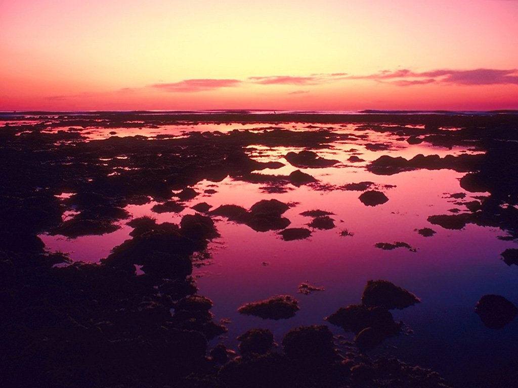 �������� ����