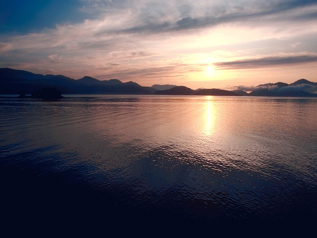 �������� ����