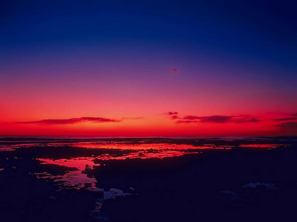 �������� ����