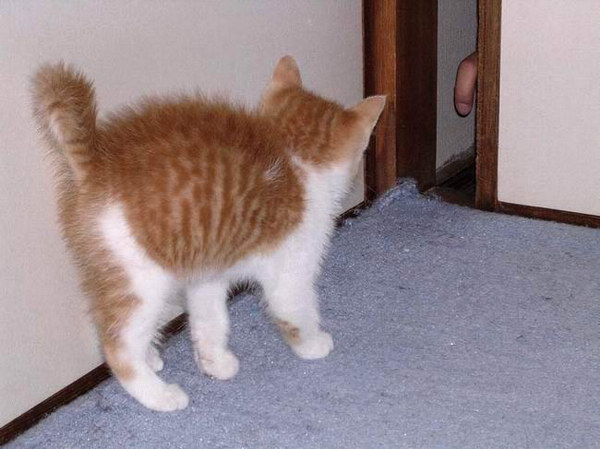   ?