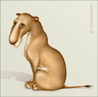    mosomedve