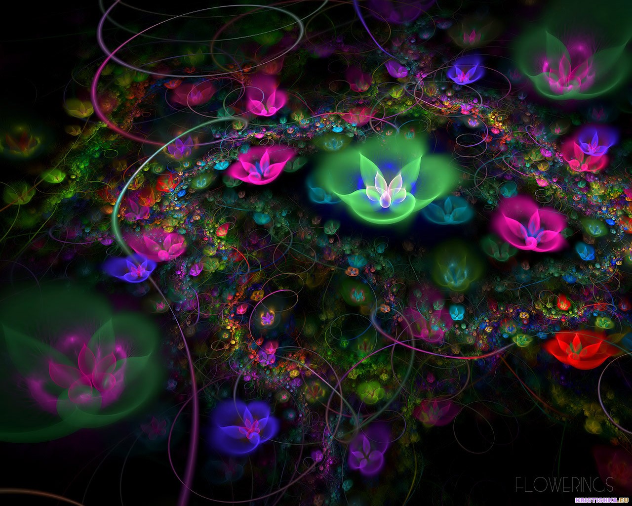 3D 