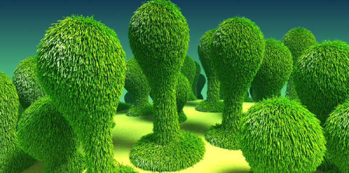  3d 