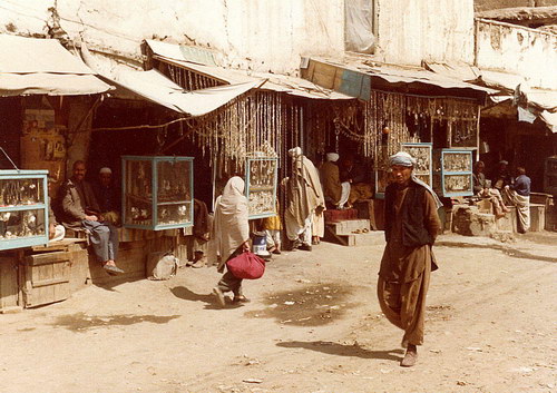  1979