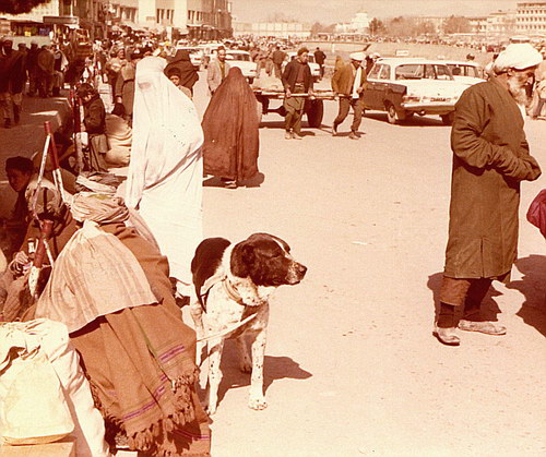  1979