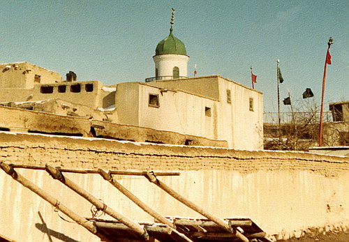  1979
