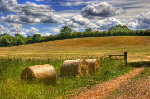  HDRi