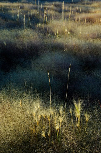  Ben Hattenbach