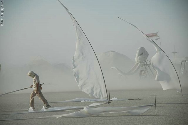 - 2007