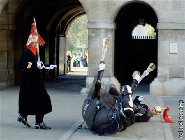 - 2007