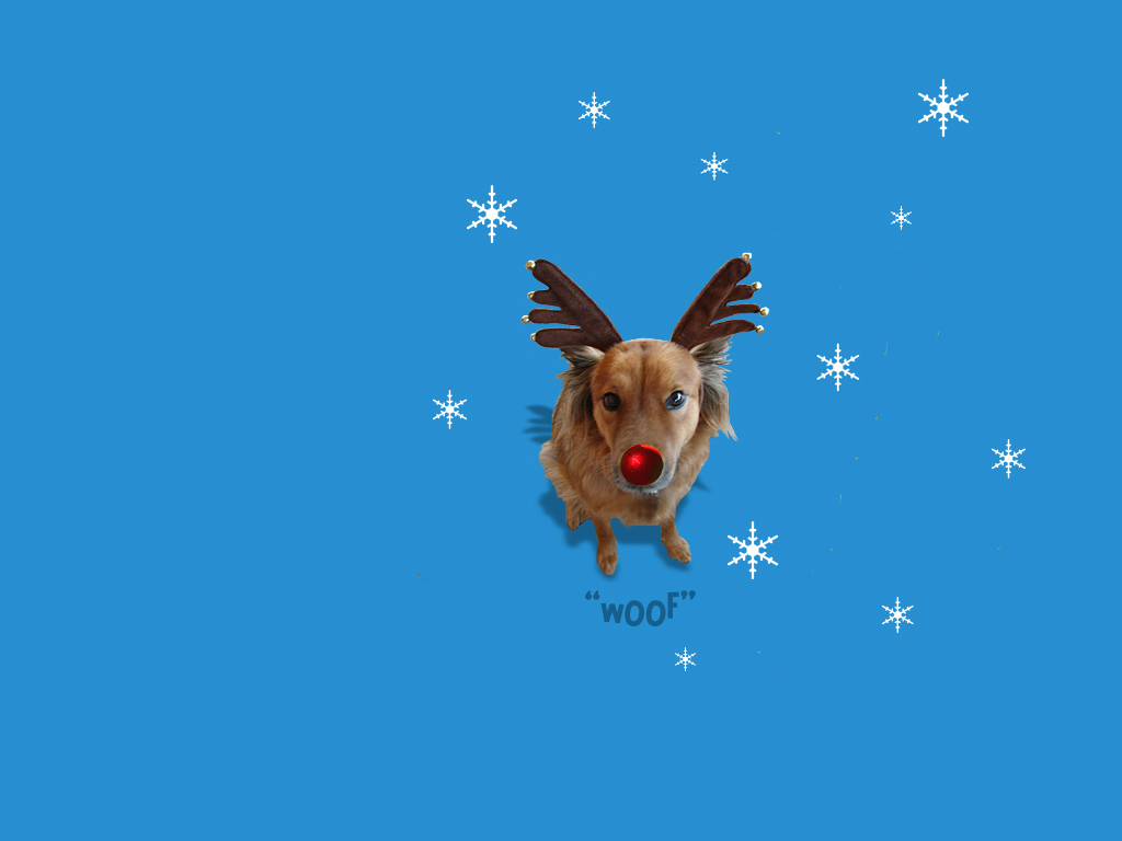 �������������� � ���������� ����