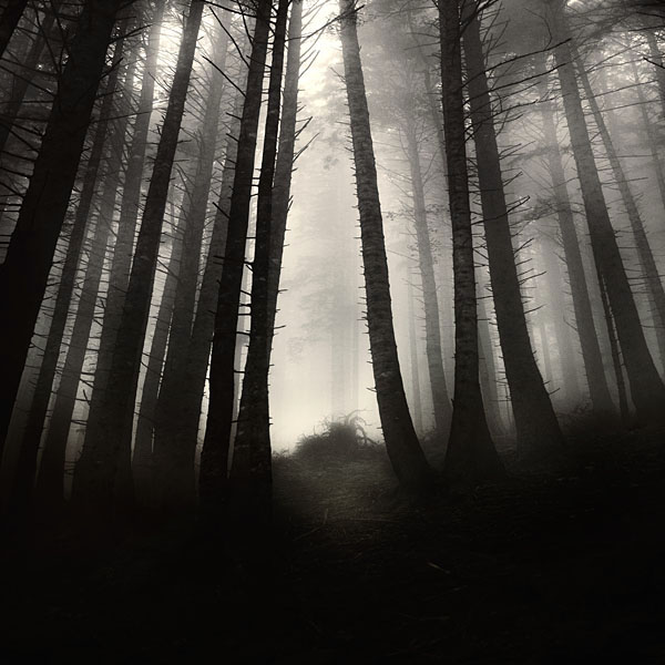  Ebru Sidar
