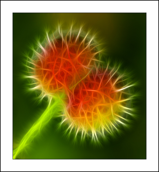 Fractalius art