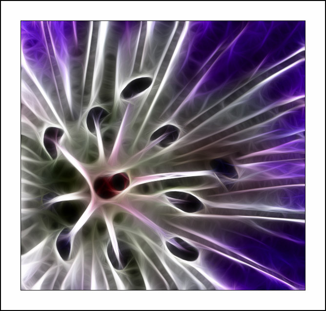 Fractalius art