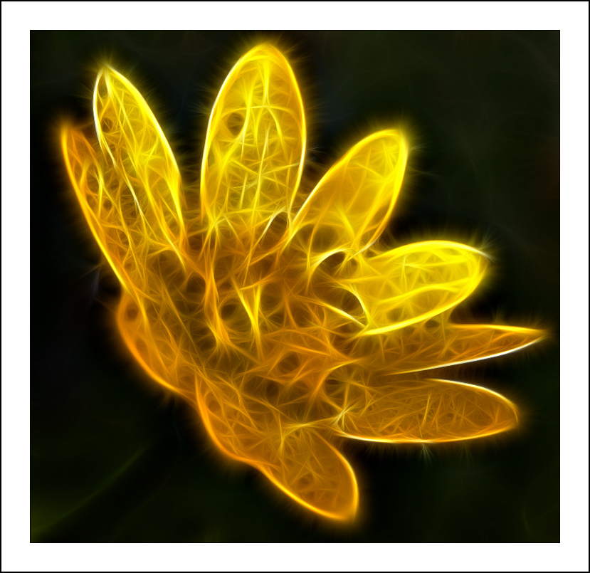 Fractalius art