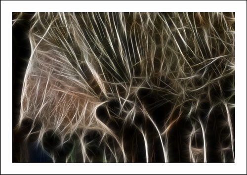 Fractalius art