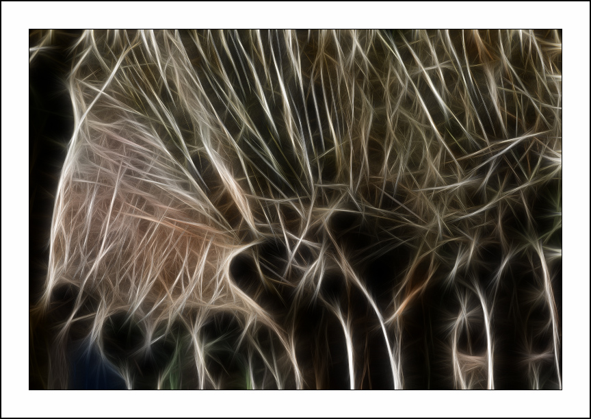 Fractalius art