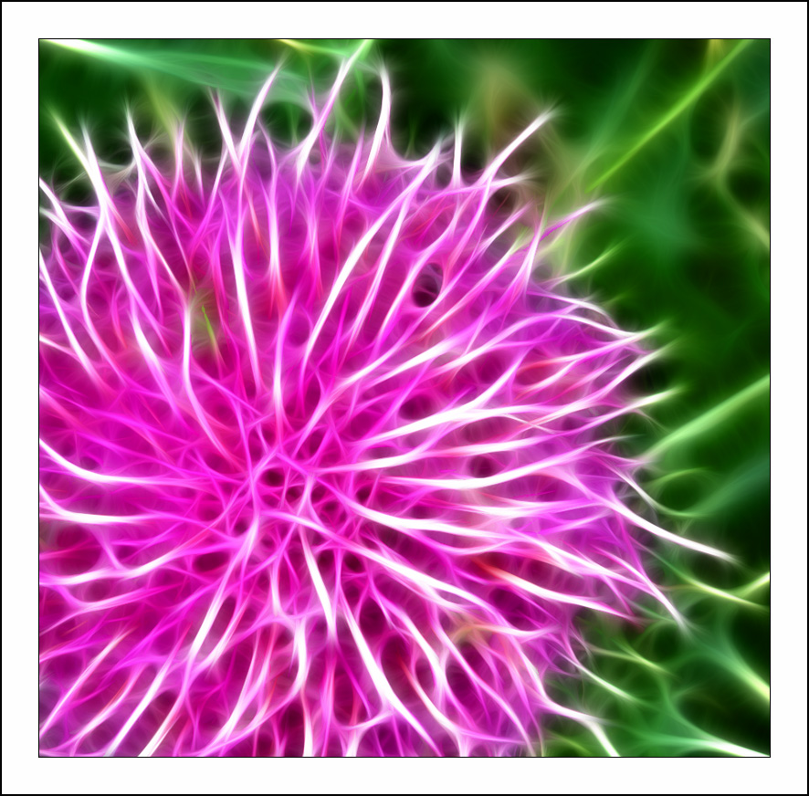 Fractalius art