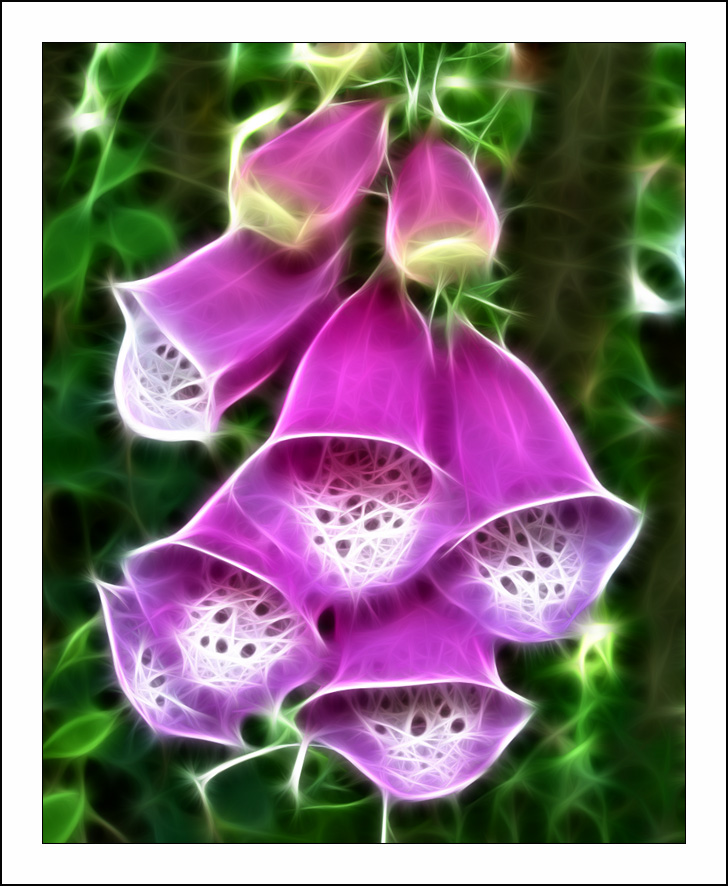 Fractalius art