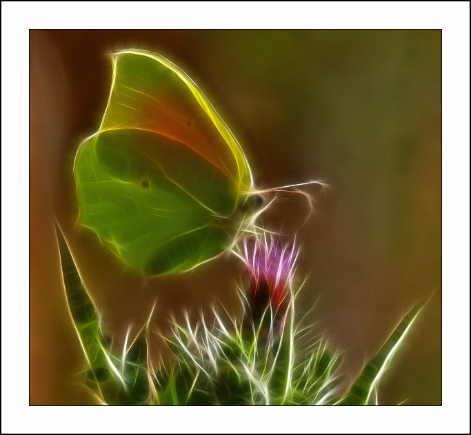 Fractalius art