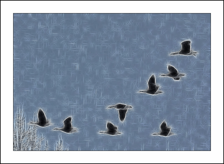 Fractalius art