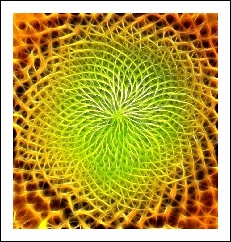 Fractalius art