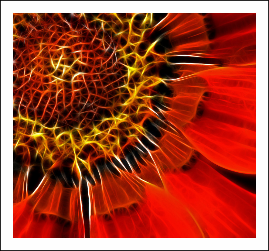 Fractalius art