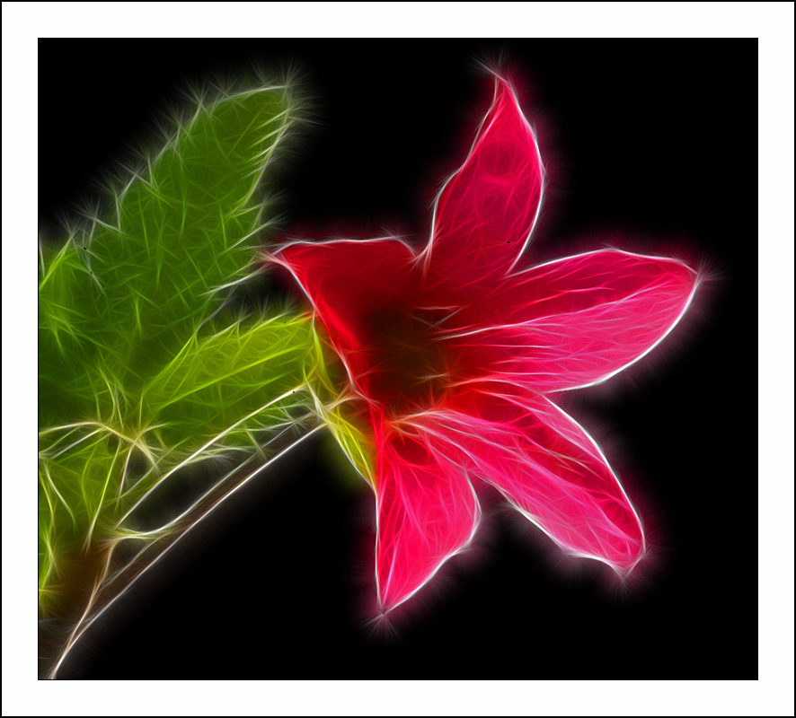 Fractalius art
