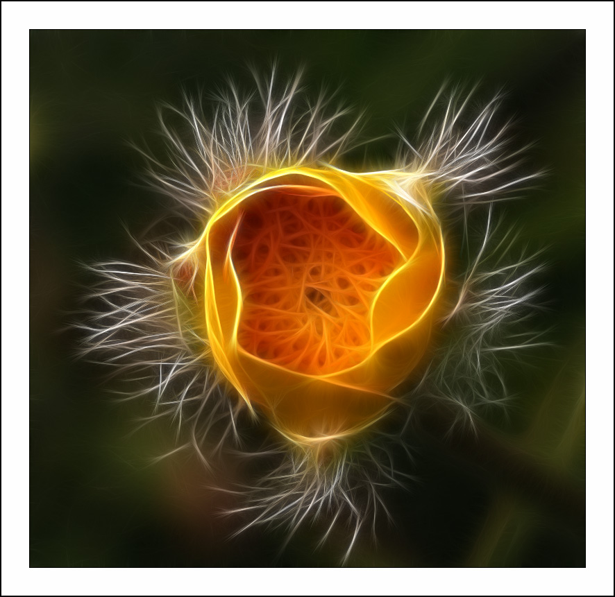Fractalius art