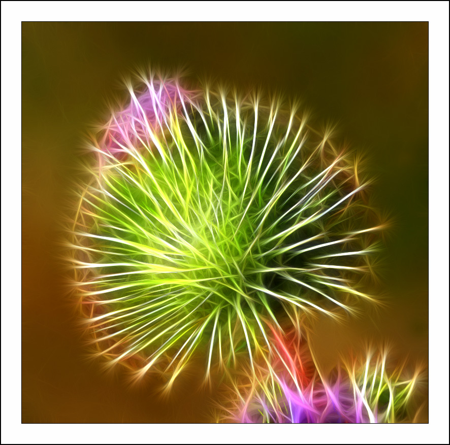 Fractalius art