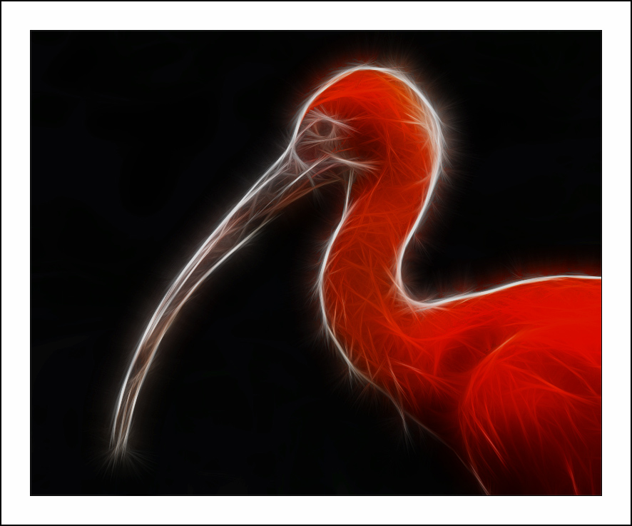 Fractalius art