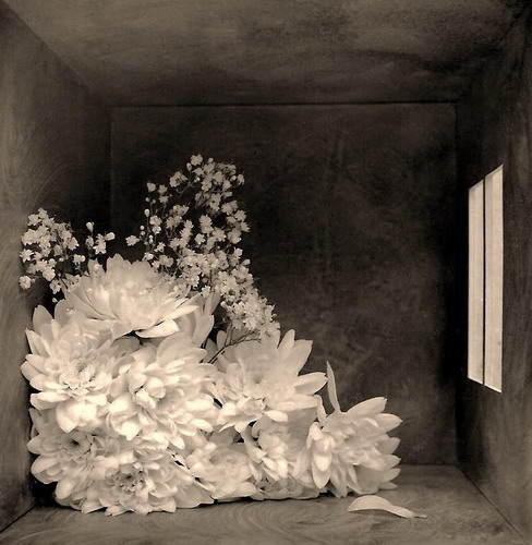  George Koutsilieris