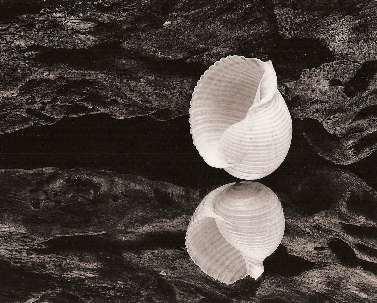  George Koutsilieris
