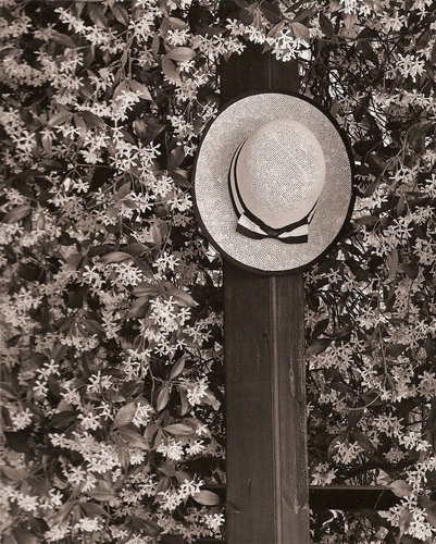  George Koutsilieris