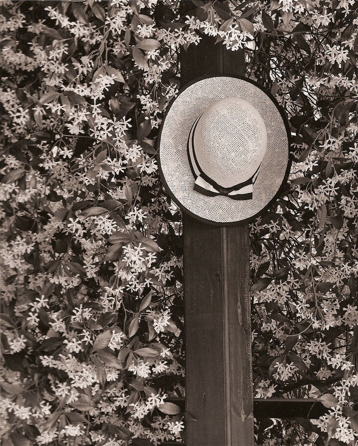  George Koutsilieris