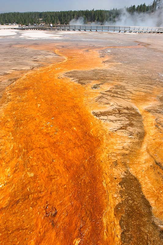  Grand Prismatic