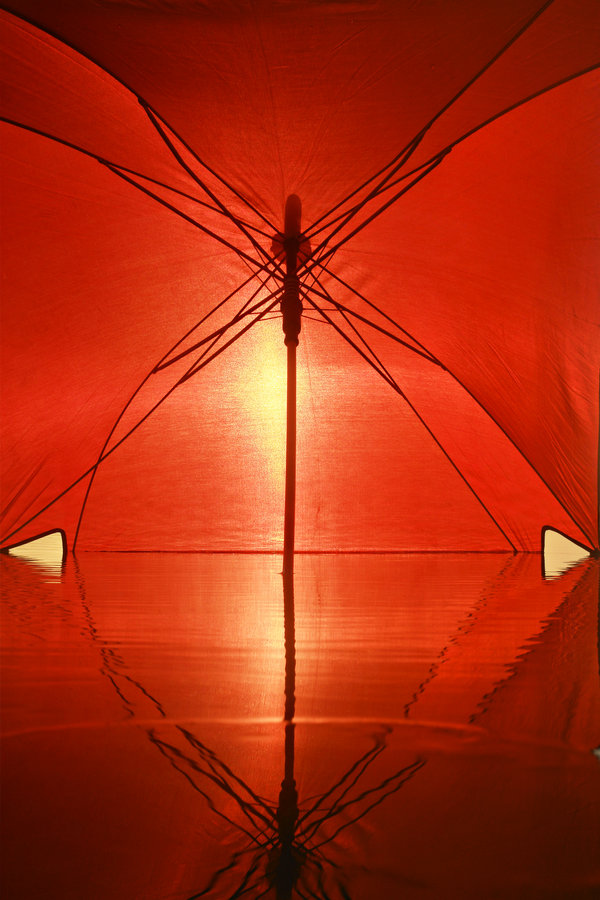  Hermin Abramovitch