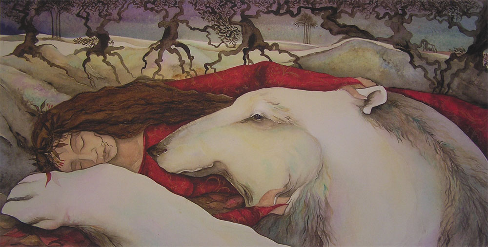 Jackie Morris