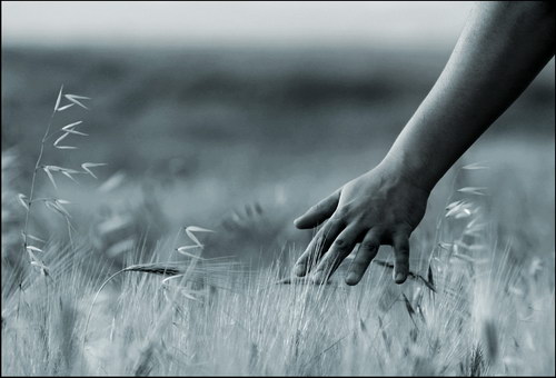   Martina Brandstetter