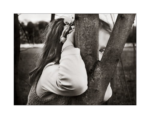   Martina Brandstetter