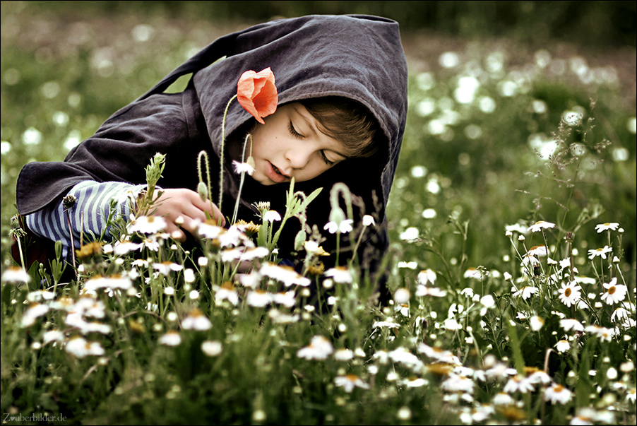   Martina Brandstetter