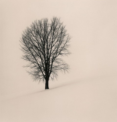  Michael Kenna