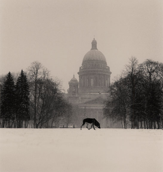  Michael Kenna