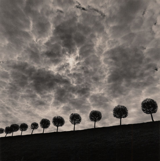  Michael Kenna