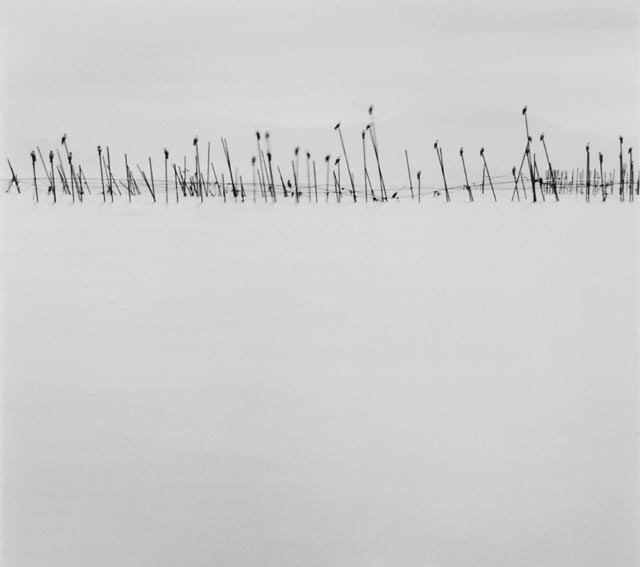  Michael Kenna